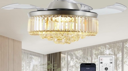 81goi2LnWYL._AC_UF894,1000_QL80_