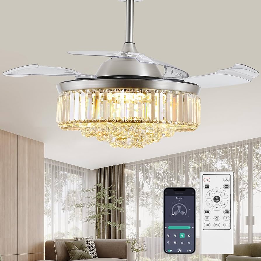 81goi2LnWYL._AC_UF894,1000_QL80_