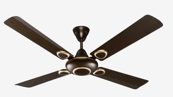 TULIP_4_BLADE_OLIVE_BROWN-removebg-preview-removebg-preview