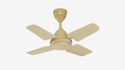 ceegee24ivory-removebg-preview-removebg-preview