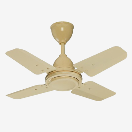 ceegee24ivory-removebg-preview-removebg-preview