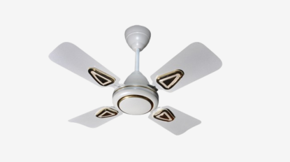 viva24-removebg-preview-removebg-preview