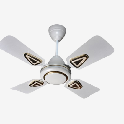 viva24-removebg-preview-removebg-preview